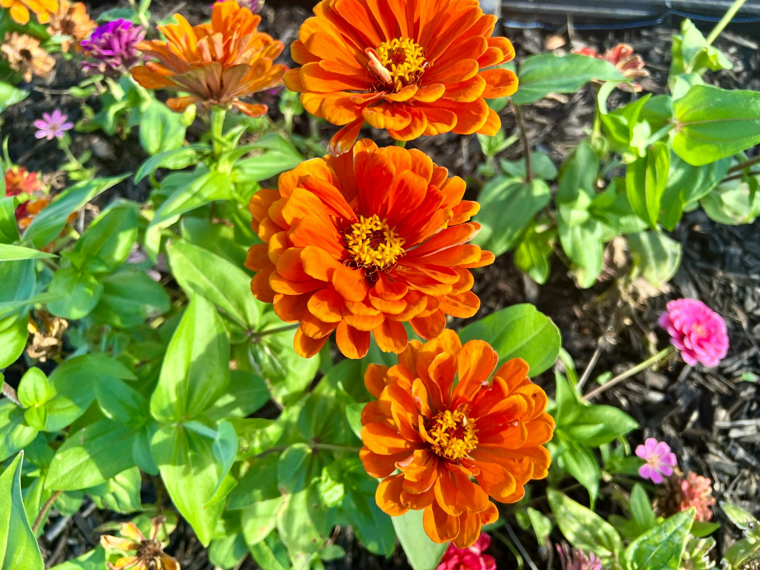 FOTO: Unsplash