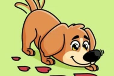 Nosework tečaj počinje u prosincu / Foto Facebook