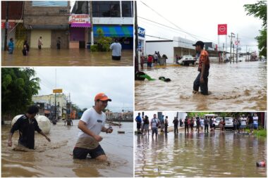 Reuters