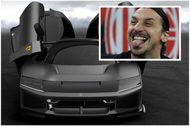 Zlatan Ibrahimović se na svojem FB profilu pohvalio s novim ljubimcem/Foto FB Zlatan Ibrahimović