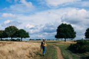 Foto: Pexels
