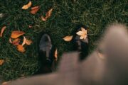 Foto: Pexels