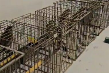 Foto: Pu splitsko-dalmatinska