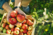 FOTO: iStock