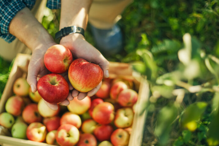 FOTO: iStock