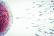 Foto: iStock