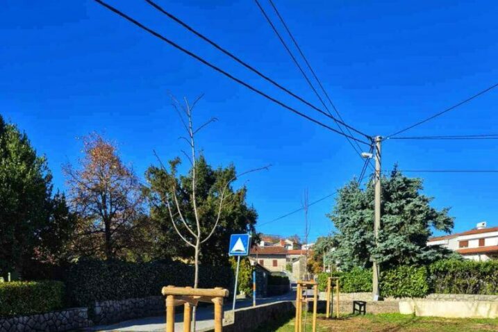 Brigu o sadnicama vodit će KD Viškovo / Foto TZ VIŠKOVO