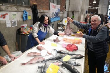 Vladi se odlučio za grdobinu / Foto Vladimir Mrvoš