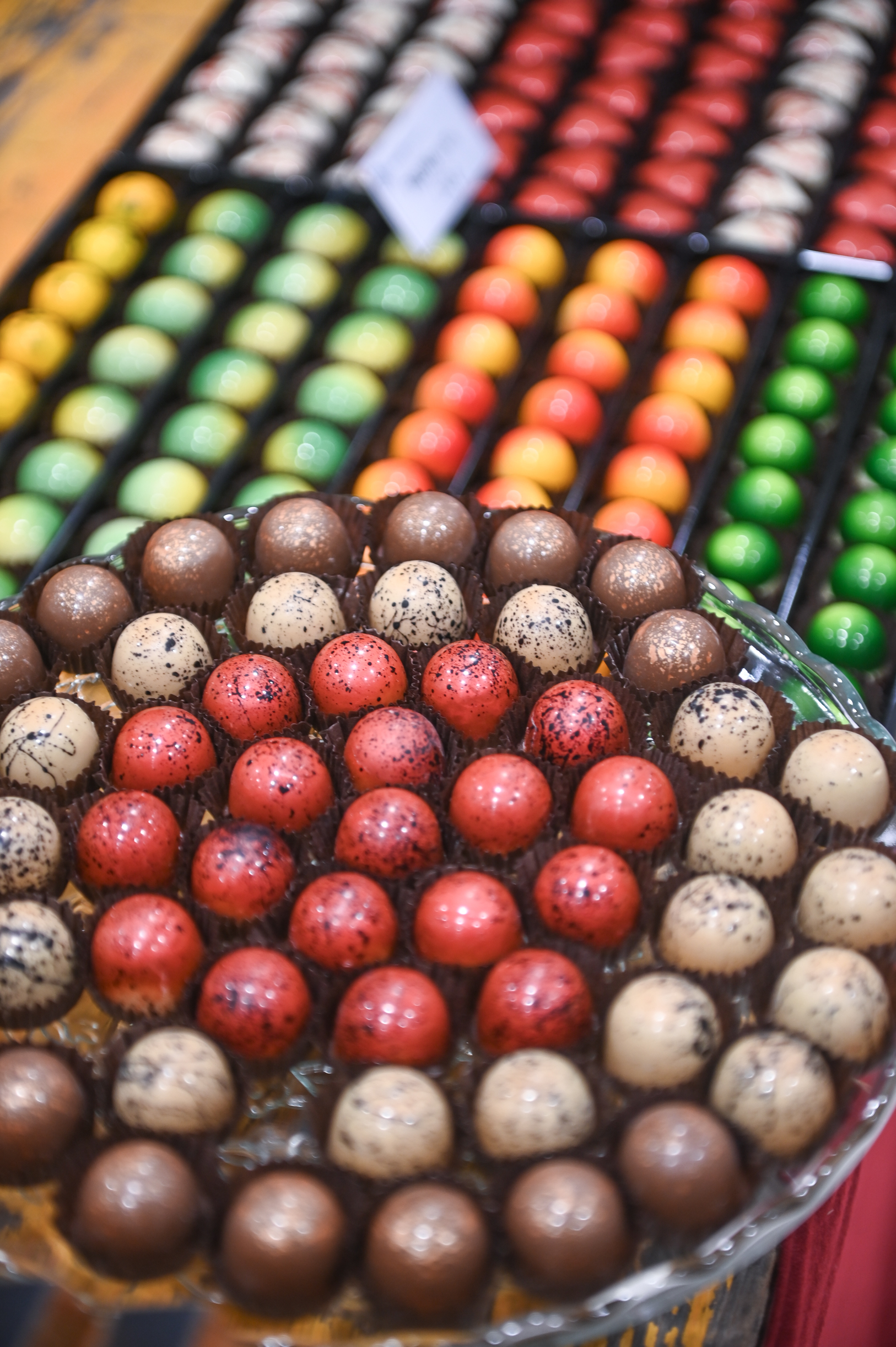 Foto: Nikola BLAGOJEVIĆ