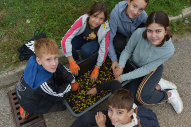 Maslinarstvo se voli od najmlađih dana / foto Walter SALKOVIĆ