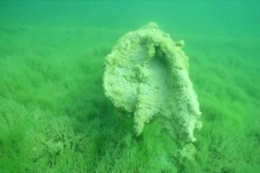 Alga parožina / Foto NP Plitivička jezera