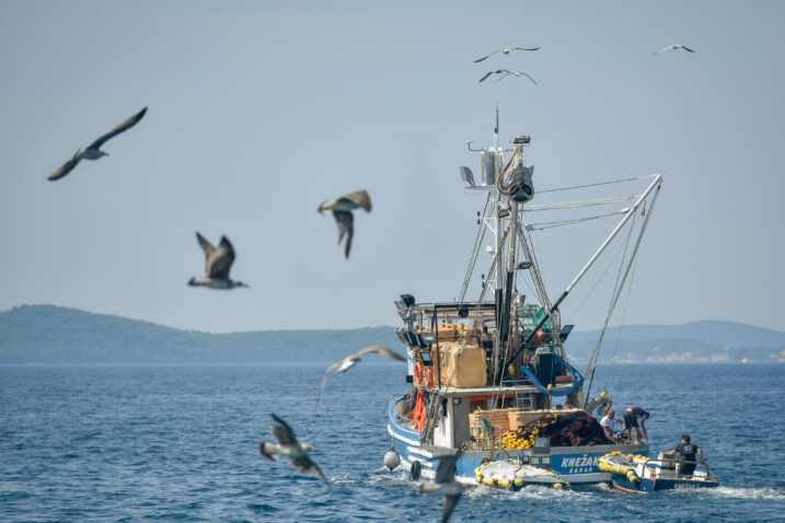 Photo: Dino Stanin/PIXSELL