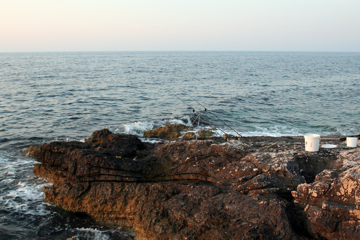 Rtovi su provjereno dobra lovišta no ne drže sve strane ribu u jednakoj količini. Donosimo važne savjete