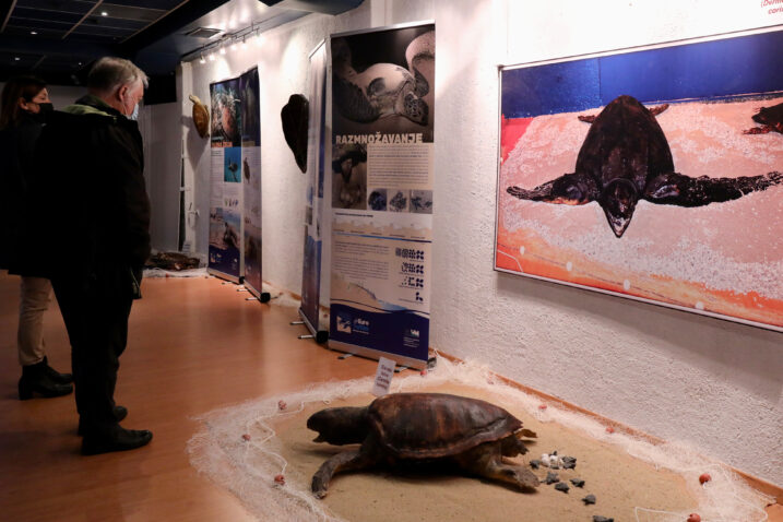 Prirodoslovni muzej u Splitu / ilustracija Foto: Ivo Čagalj /PIXSELL