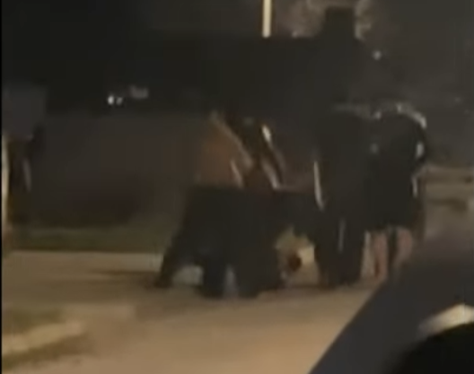 Foto Screenshot / 035 portal