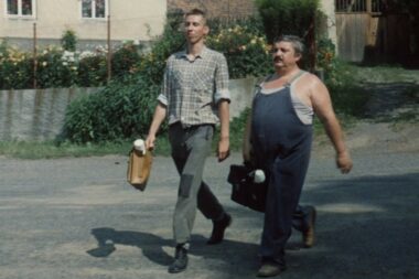 Prizor iz filma Selo moje malo Jirija Menzela