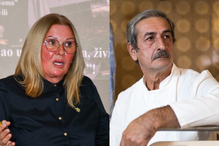 Foto DRAŽEN JURMANOVIĆ/EMICA ELVEĐI/PIXSELL/