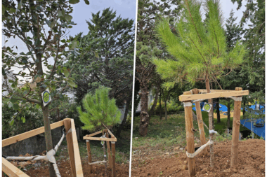 Foto TZG Novi Vindolski