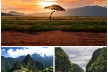 Damian Patkowski / Fabien Moliné / Jakob Owens / Unsplash