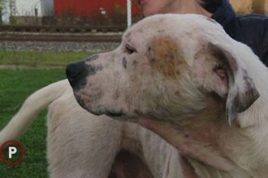 Foto Nova TV / Provjereno