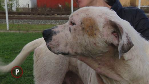 Foto Nova TV / Provjereno