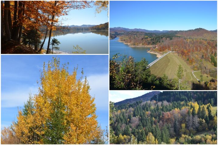 Foto Marinko Krmpotić