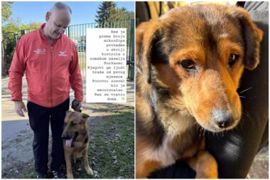 Foto Screenshot Instagram Sklonište Prijatelji Čakovec