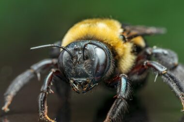 Foto: Skyler Ewing / Unsplash