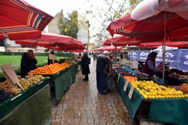 Foto Davor Kovačević