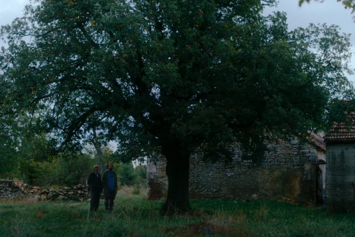 Scena iz filma "Kako je ovdje tako zeleno?" / Foto: ZFF