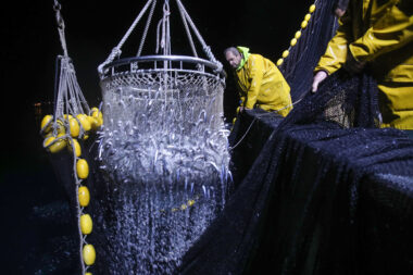 Photo: Matija Habljak/PIXSELL