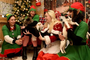 Foto Nikola BLAGOJEVIĆ