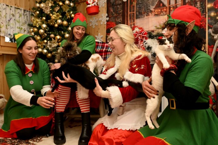 Foto Nikola BLAGOJEVIĆ