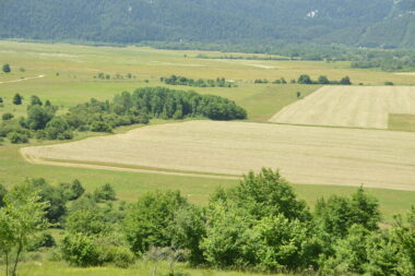 Foto Marinko KRMPOTIĆ
