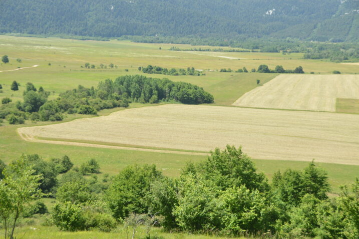 Foto Marinko KRMPOTIĆ