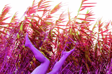 Kinogibanja u Filodrammatici