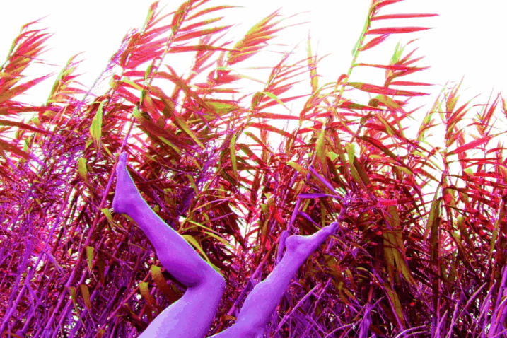 Kinogibanja u Filodrammatici