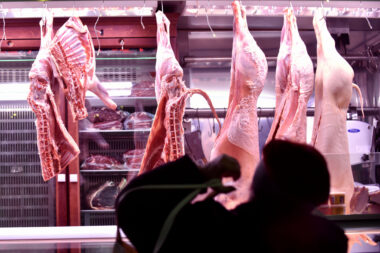 Foto Davor Kovačević