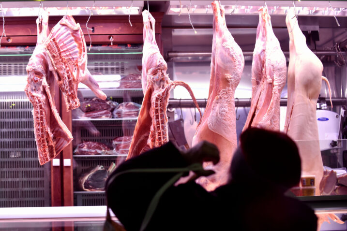 Foto Davor Kovačević