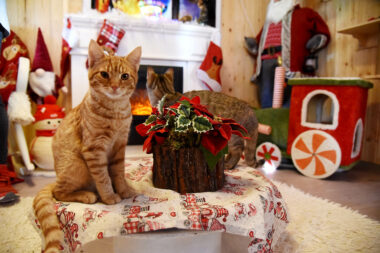 Foto: Sergej Drechsler