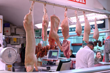 SNIMIO: VEDRAN KARUZA