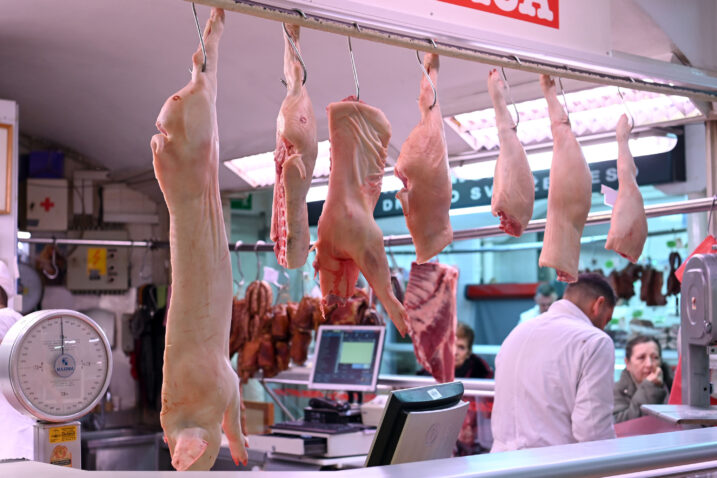 SNIMIO: VEDRAN KARUZA