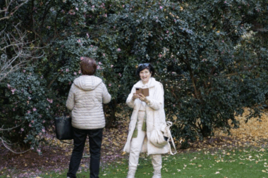 Rapsodija jesenskih kamelija / Foto David KURTI