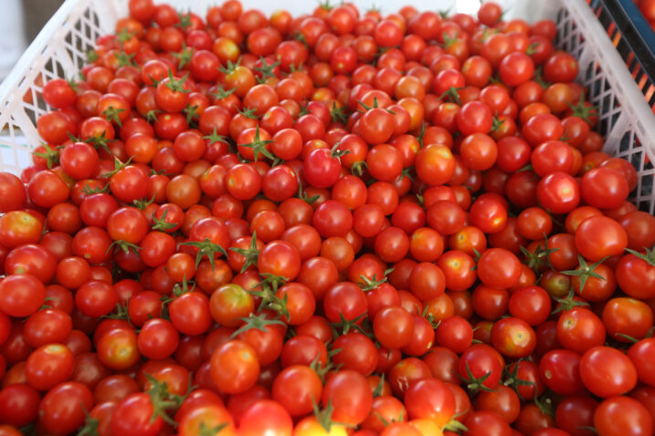 Ilustracija / Photo: Dusko Jaramaz/PIXSELL