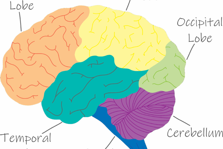 Pixabay / Brick Bard