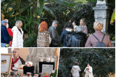 Rapsodija jesenskih kamelija / Foto David KURTI