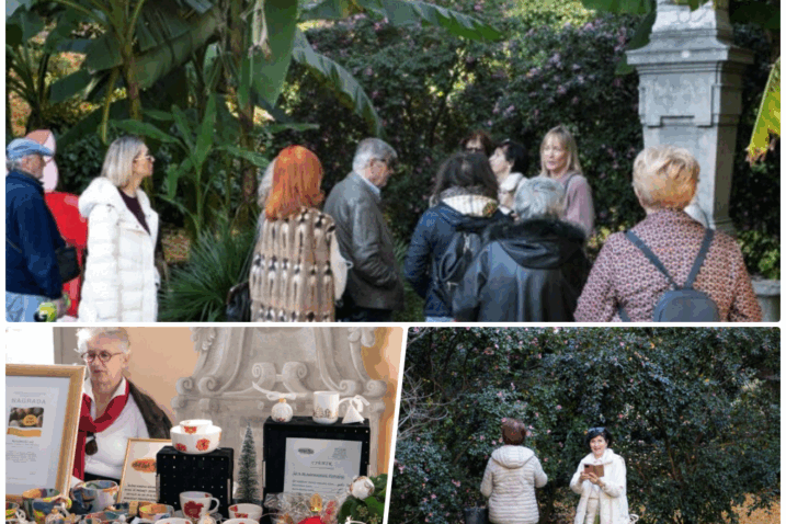 Rapsodija jesenskih kamelija / Foto David KURTI