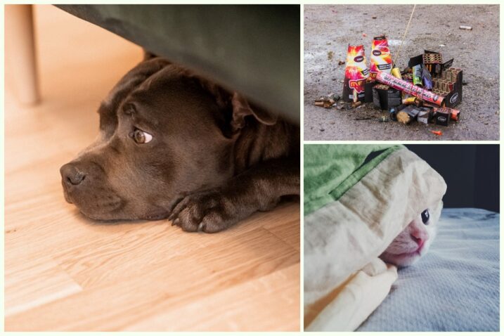 Kako slaviti, a ne uznemiravati? Petarde ne uzrokuju samo fizičke ozljede