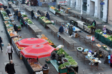 Ilustracija / Foto Davor Kovačević