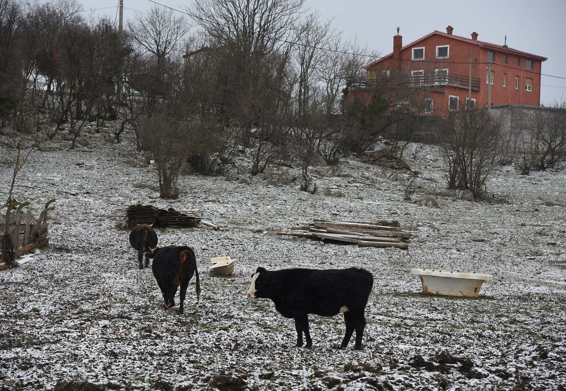 Foto Dean Miculinić